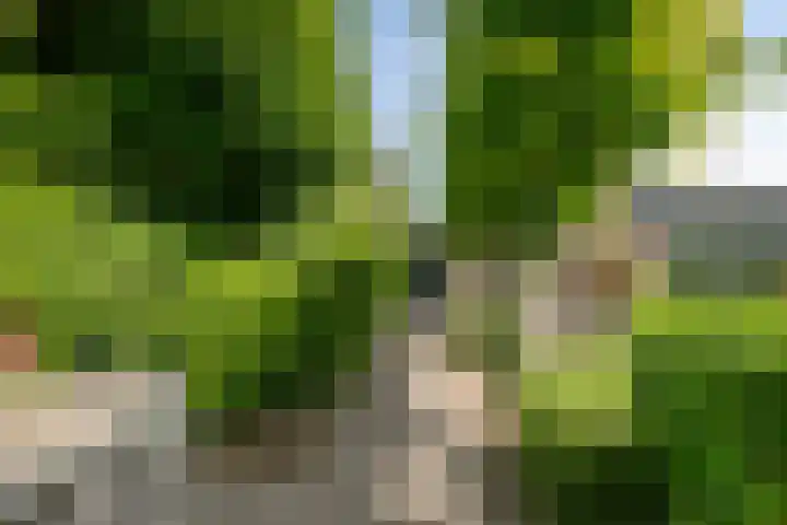 Fuutlaan 42 Aalsmeer thumbnail 49