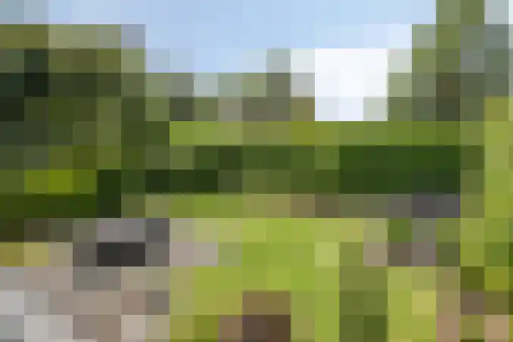 Fuutlaan 42 Aalsmeer thumbnail 5