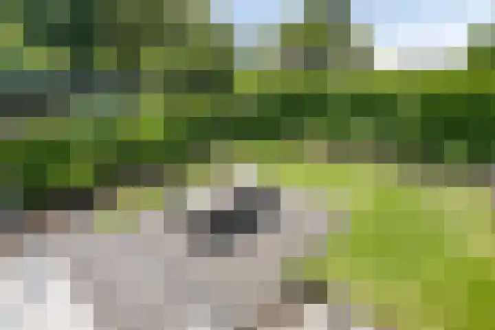 Fuutlaan 42 Aalsmeer thumbnail 51