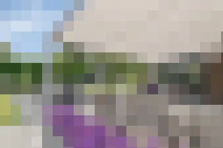 Fuutlaan 42 Aalsmeer thumbnail 53
