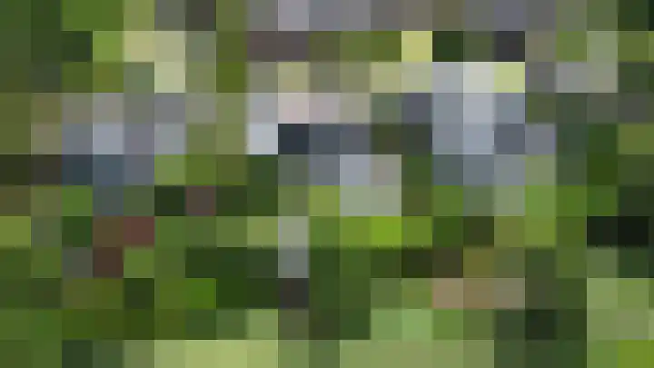Fuutlaan 42 Aalsmeer thumbnail 6