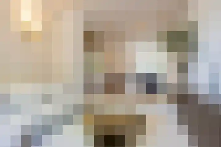 Fuutlaan 45 Eindhoven thumbnail 12