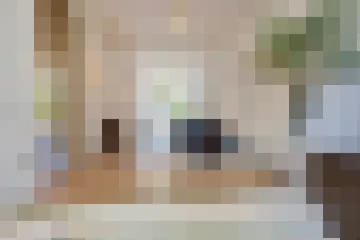Fuutlaan 45 Eindhoven thumbnail 13