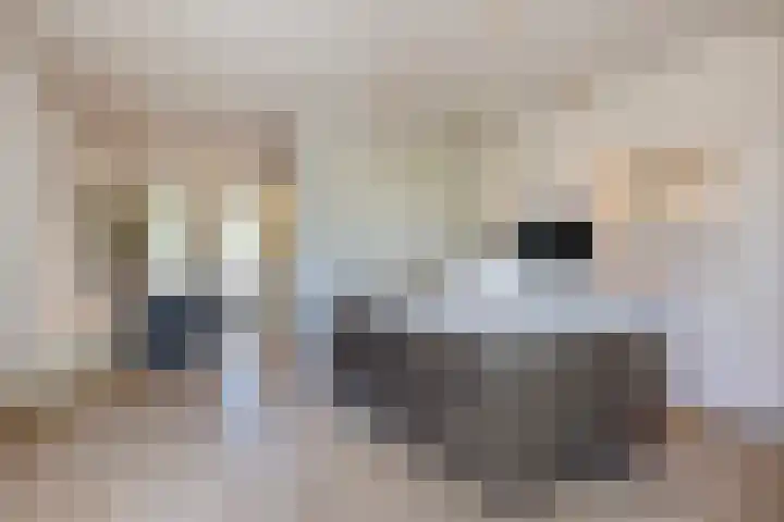 Fuutlaan 45 Eindhoven thumbnail 15