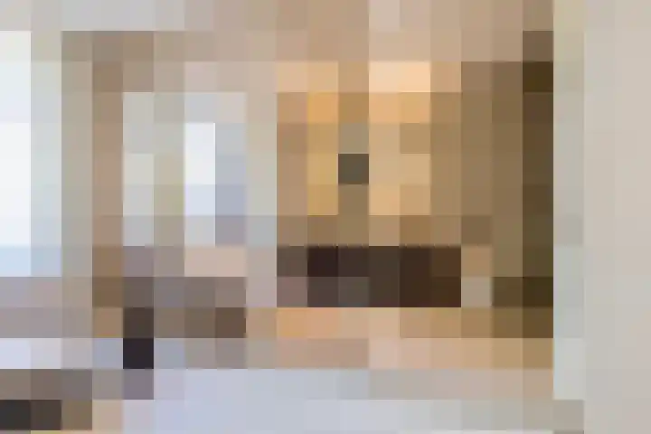 Fuutlaan 45 Eindhoven thumbnail 21