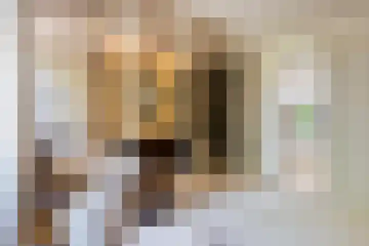 Fuutlaan 45 Eindhoven thumbnail 25