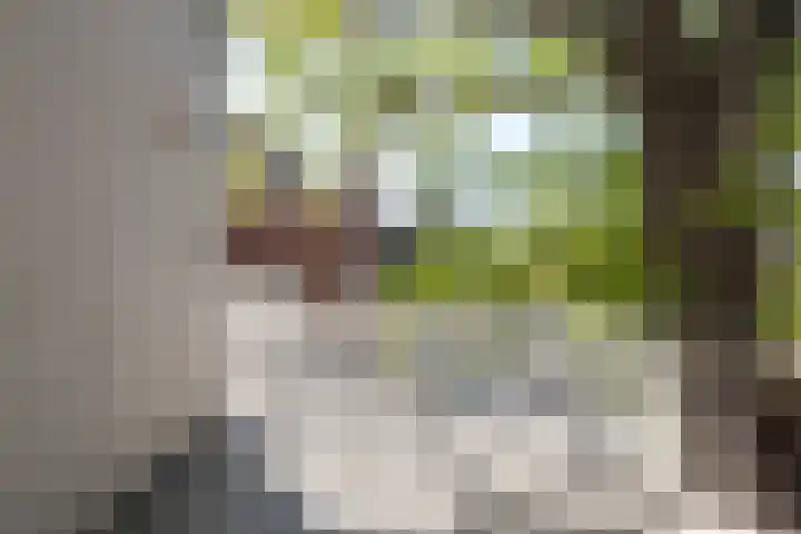 Fuutlaan 45 Eindhoven thumbnail 27