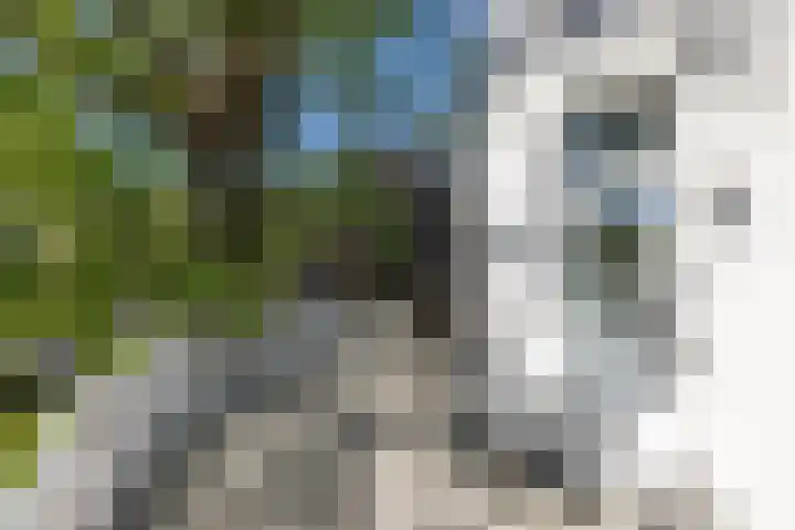 Fuutlaan 45 Eindhoven thumbnail 28