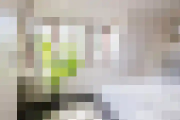 Fuutlaan 45 Eindhoven thumbnail 31