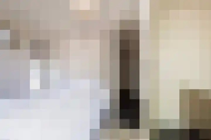 Fuutlaan 45 Eindhoven thumbnail 32