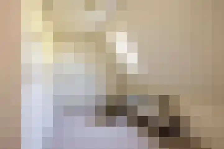 Fuutlaan 45 Eindhoven thumbnail 34