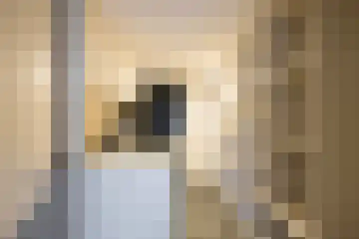 Fuutlaan 45 Eindhoven thumbnail 37