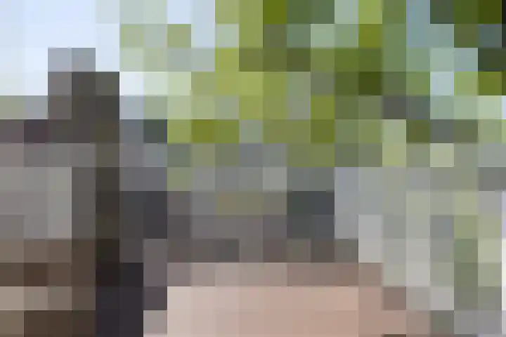 Fuutlaan 45 Eindhoven thumbnail 38