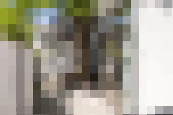 Fuutlaan 45 Eindhoven thumbnail 40