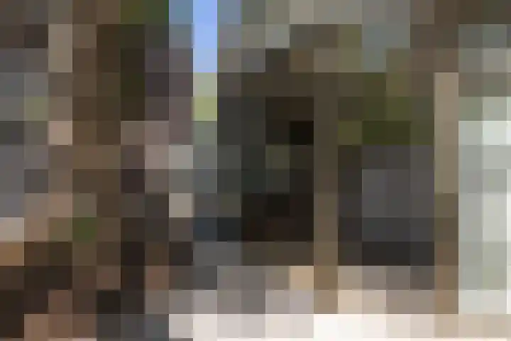 Fuutlaan 45 Eindhoven thumbnail 41