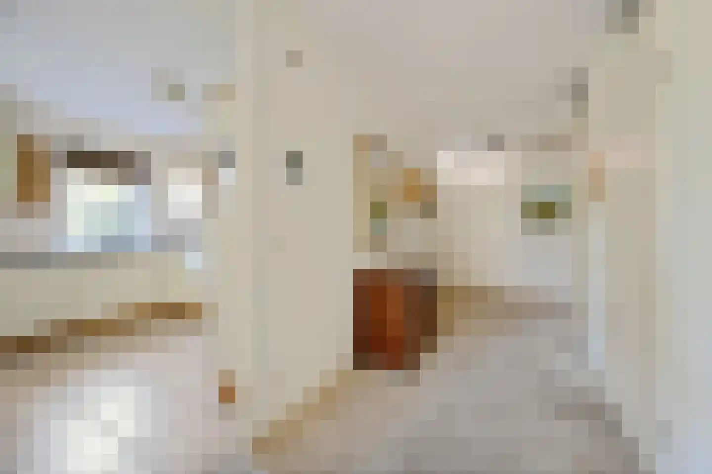 Fuutlaan 45 Leidschendam thumbnail 20