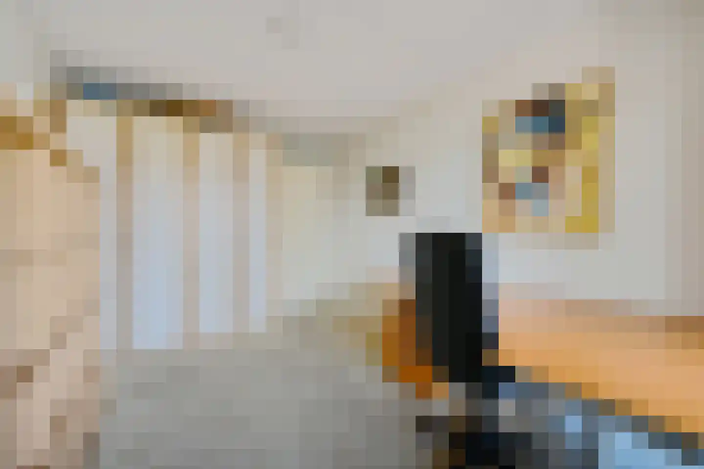 Fuutlaan 45 Leidschendam thumbnail 26