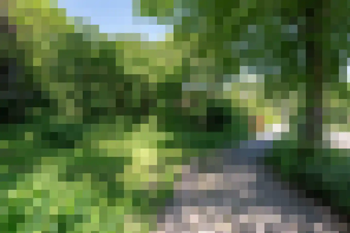 Fuutlaan 46 Aalsmeer thumbnail 26