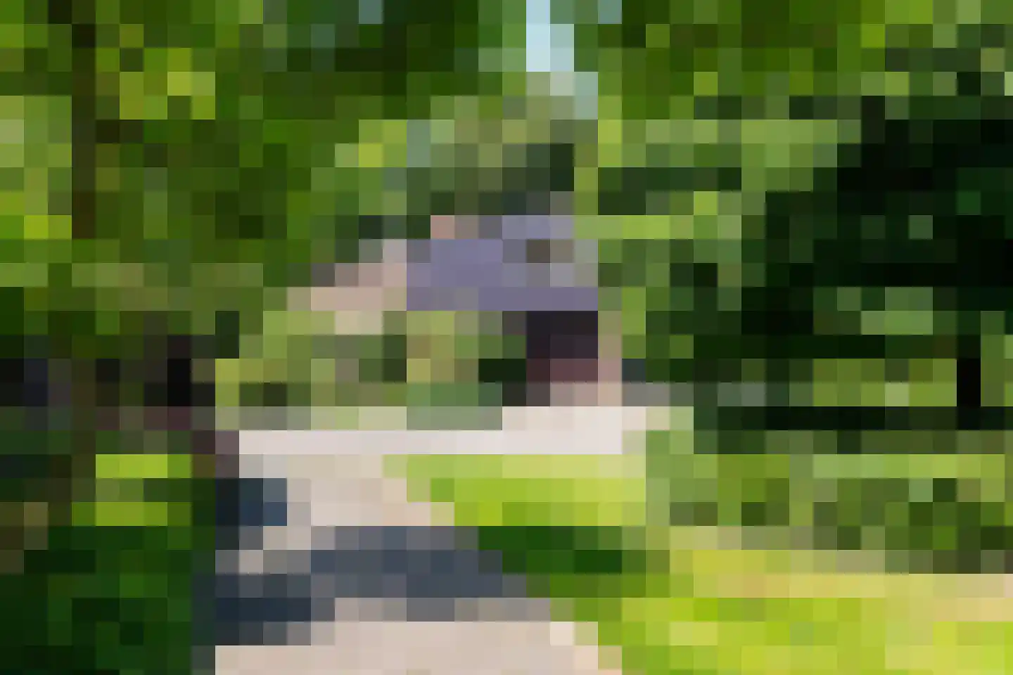 Fuutlaan 46 Aalsmeer thumbnail 27