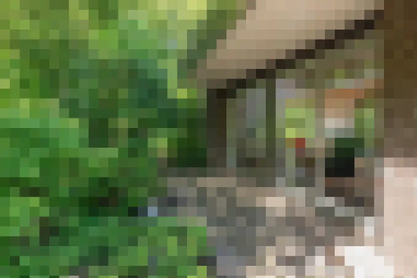 Fuutlaan 46 Aalsmeer thumbnail 5