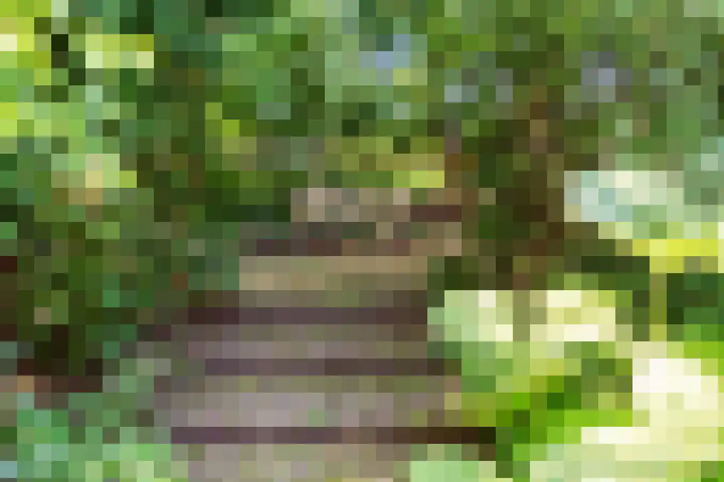 Fuutlaan 46 Aalsmeer thumbnail 8