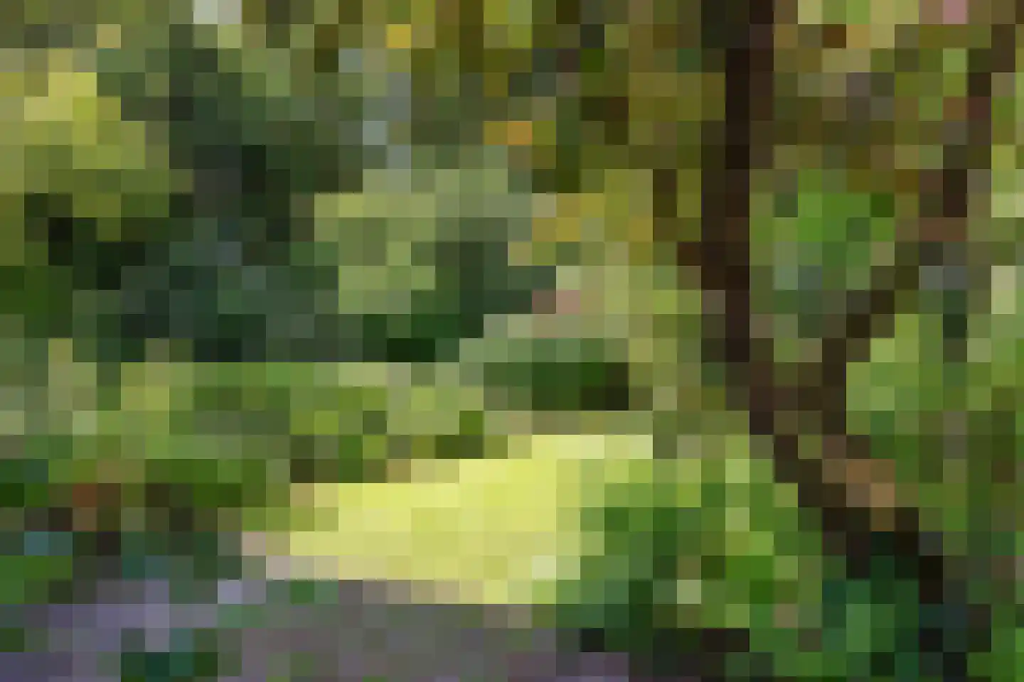 Fuutlaan 46 Aalsmeer thumbnail 9