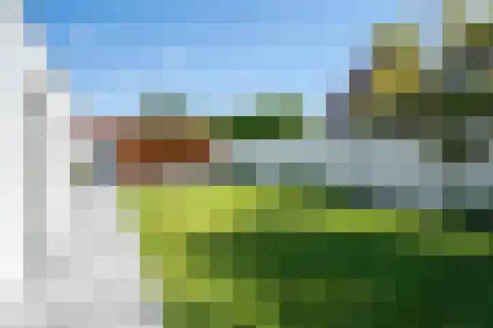 Fuutlaan 46 Baarle-Nassau thumbnail 46