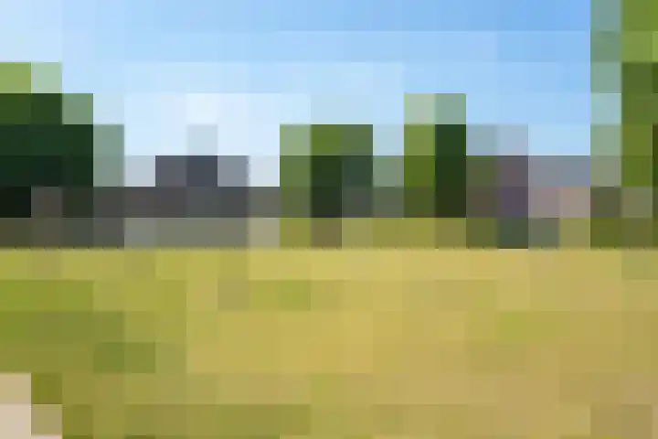 Fuutlaan 46 Baarle-Nassau thumbnail 50