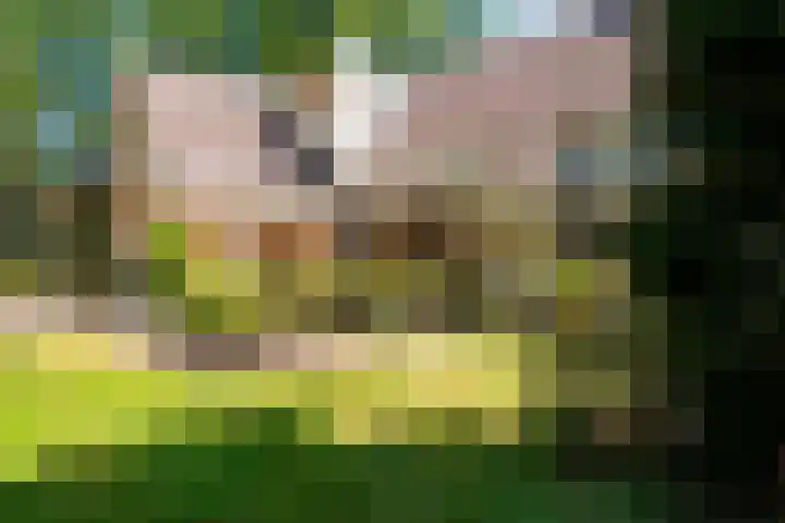 Fuutlaan 6 Best thumbnail 29