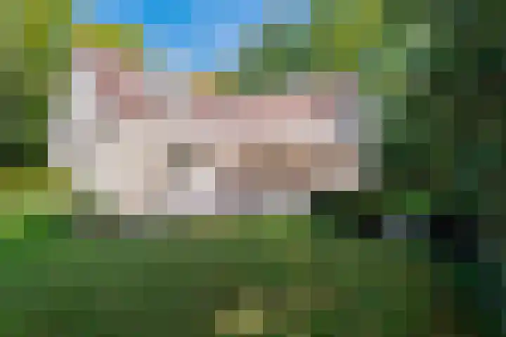 Fuutlaan 6 Best thumbnail 32