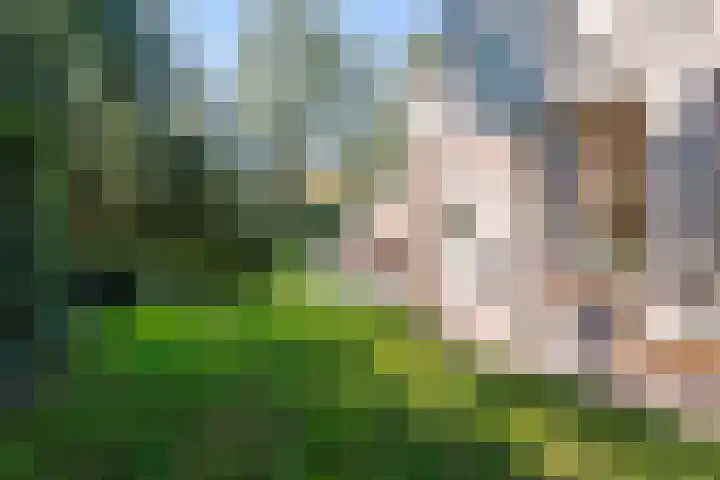 Fuutlaan 6 Best thumbnail 34