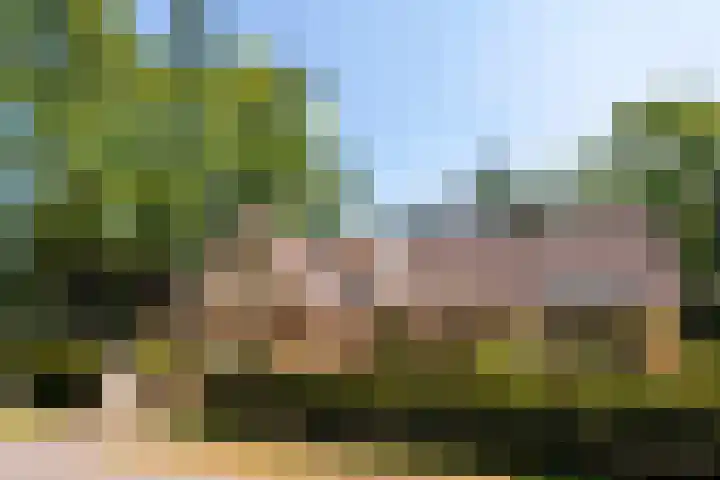Fuutlaan 6 Best thumbnail 35