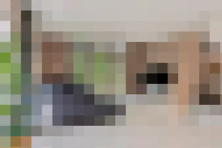Fuutlaan 6 Best thumbnail 5