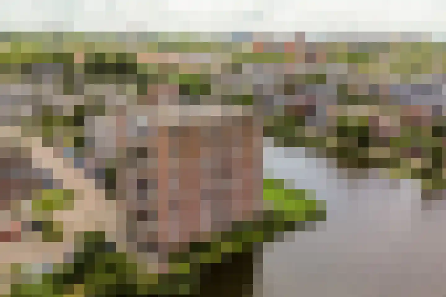 Fuutlaan 85 Capelle aan den IJssel