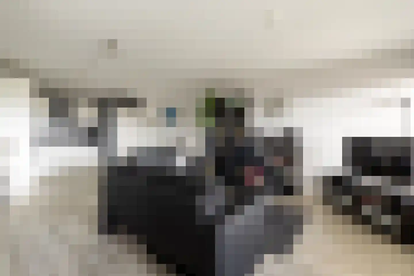 Fuutlaan 85 Capelle aan den IJssel thumbnail 15
