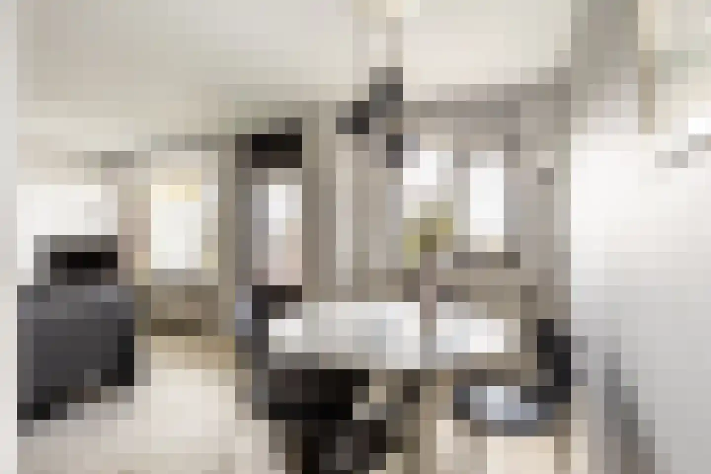 Fuutlaan 85 Capelle aan den IJssel thumbnail 17