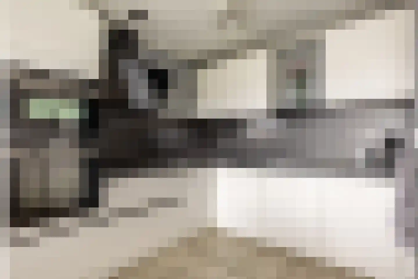 Fuutlaan 85 Capelle aan den IJssel thumbnail 25