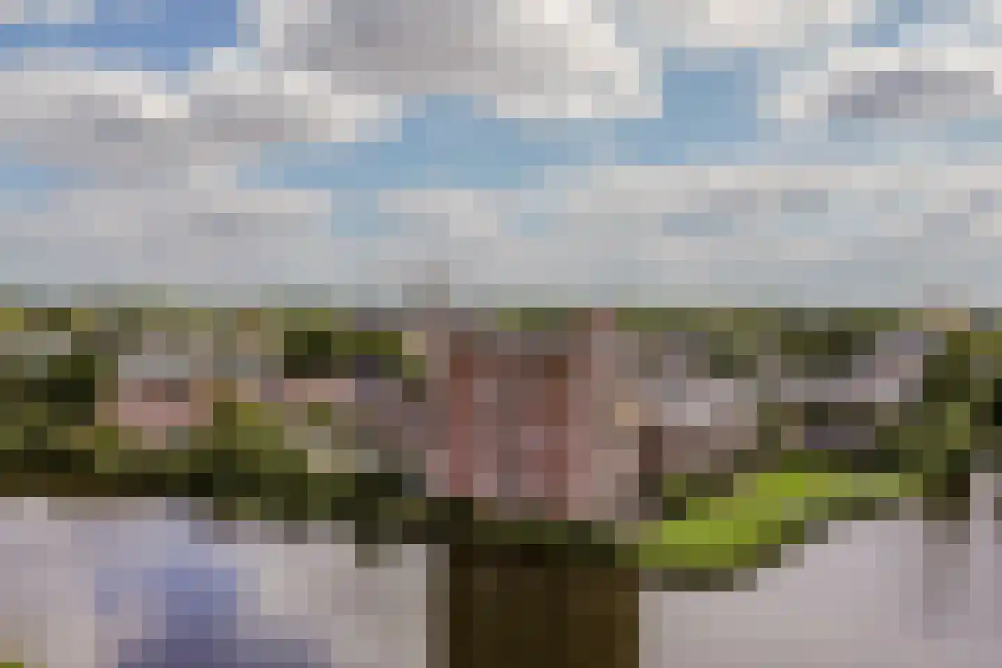 Fuutlaan 85 Capelle aan den IJssel thumbnail 31