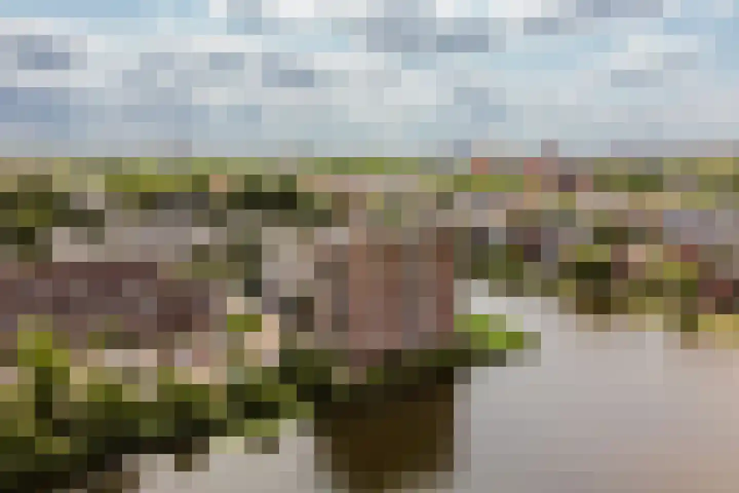 Fuutlaan 85 Capelle aan den IJssel thumbnail 32