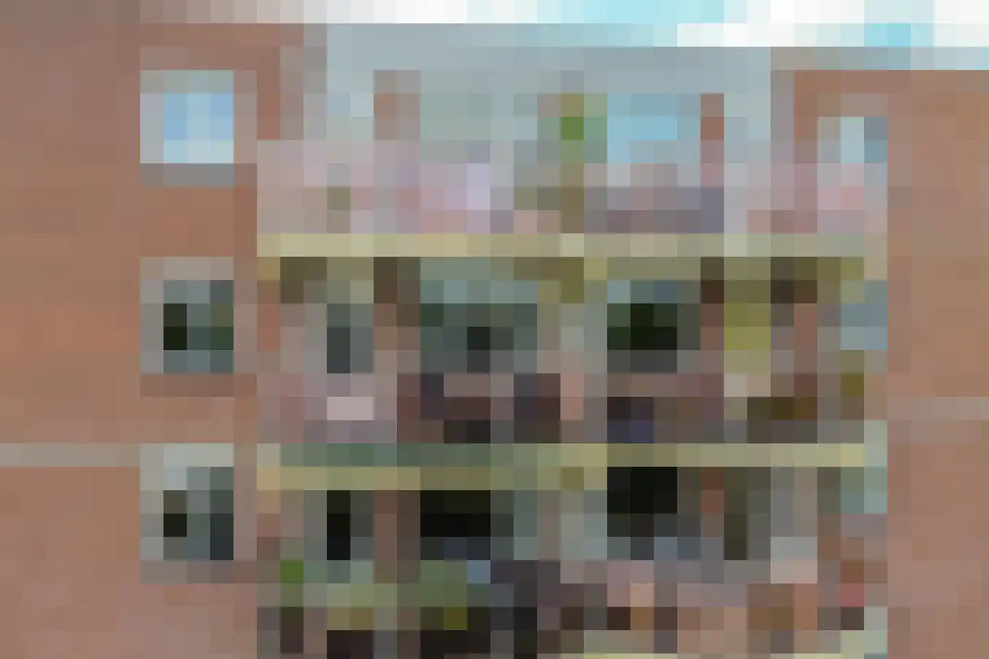 Fuutlaan 85 Capelle aan den IJssel thumbnail 8