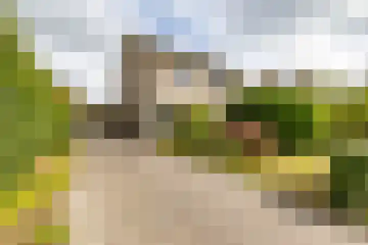 Fuutmesschen 14 in Assen