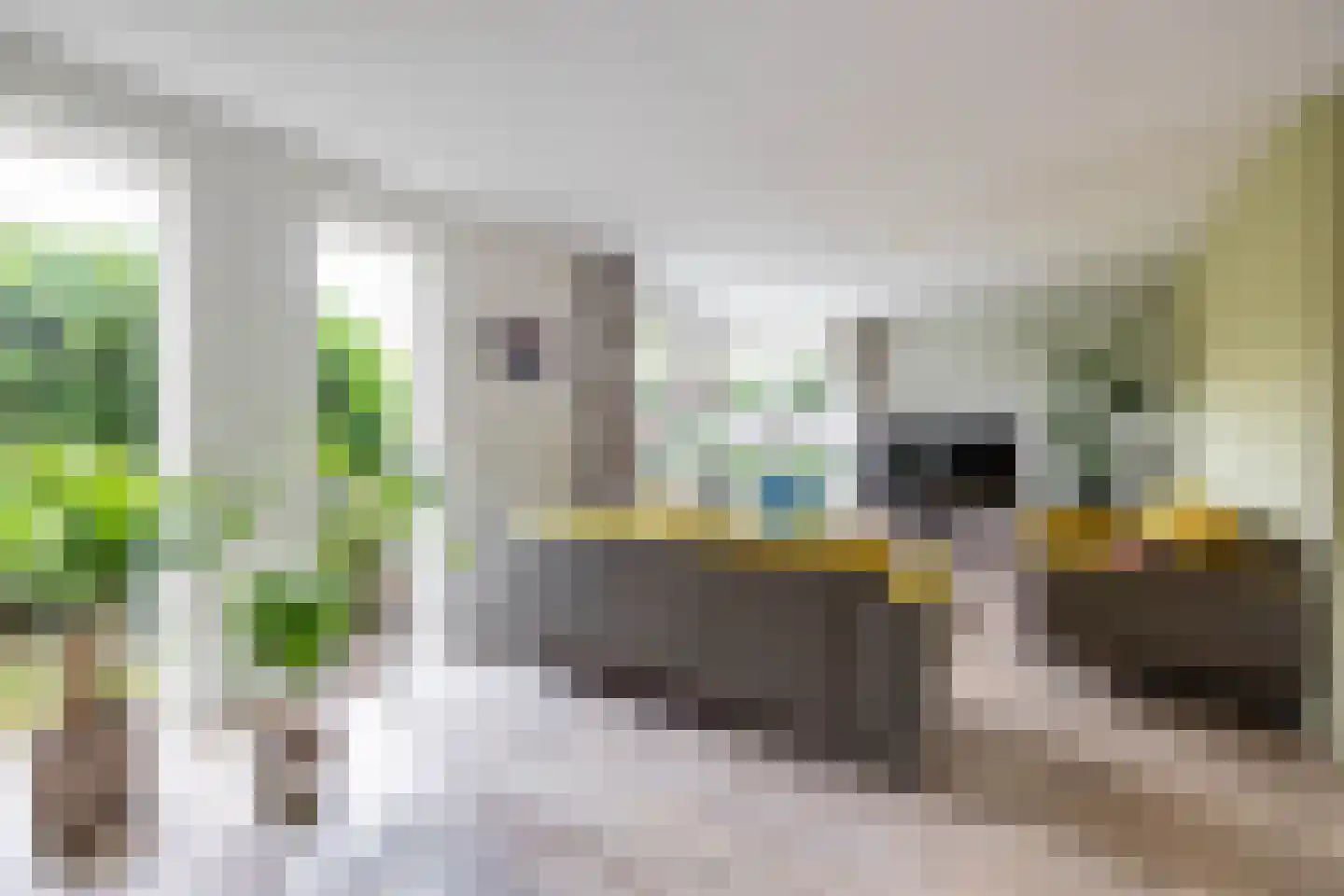 Fuutmesschen 14 Assen thumbnail 14