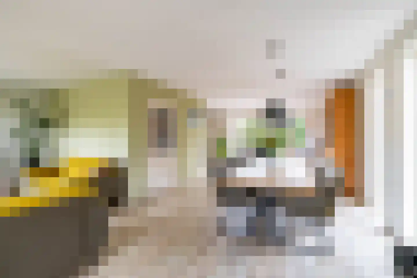 Fuutmesschen 14 Assen thumbnail 20