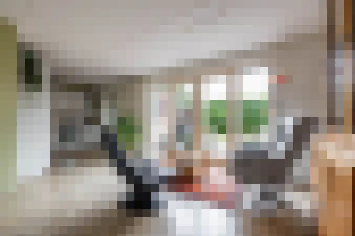 Fuutmesschen 14 Assen thumbnail 22