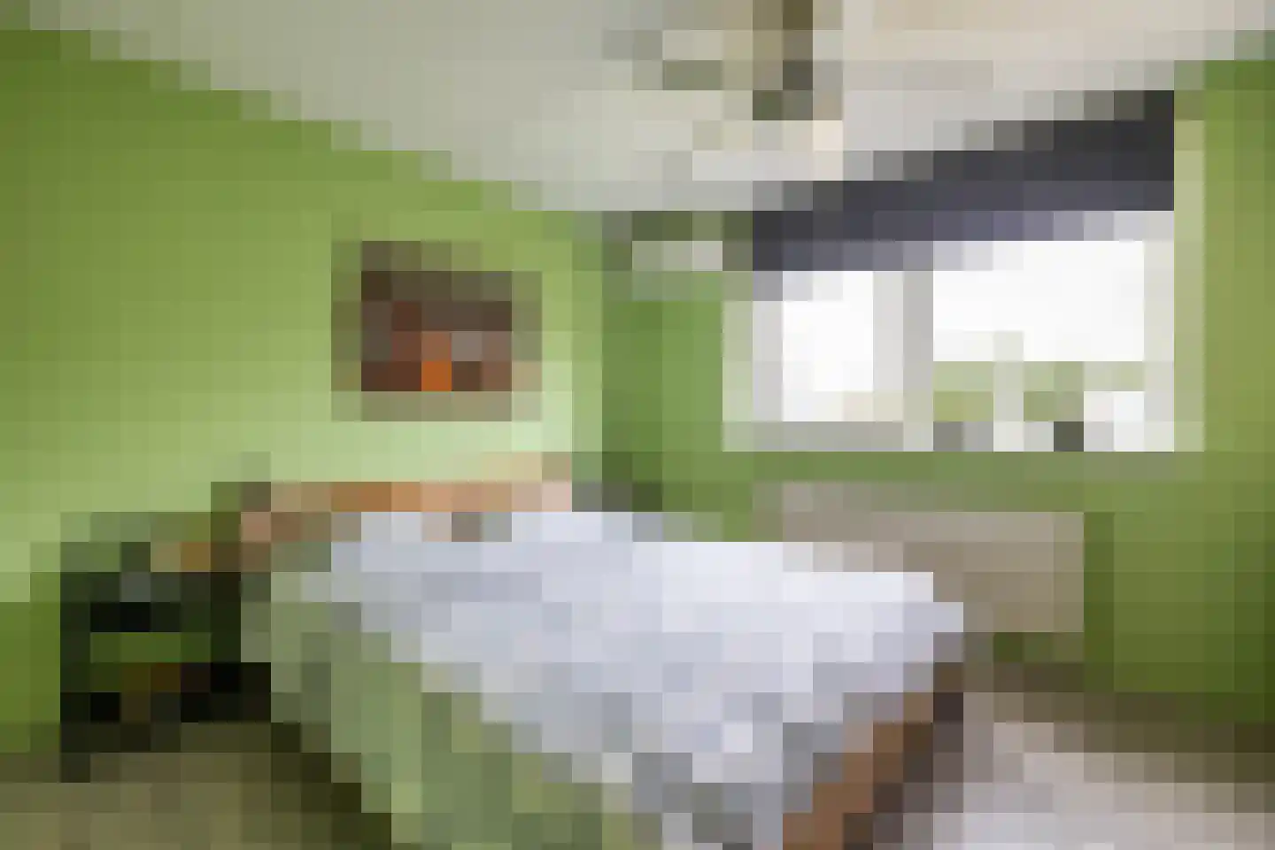 Fuutmesschen 14 Assen thumbnail 37