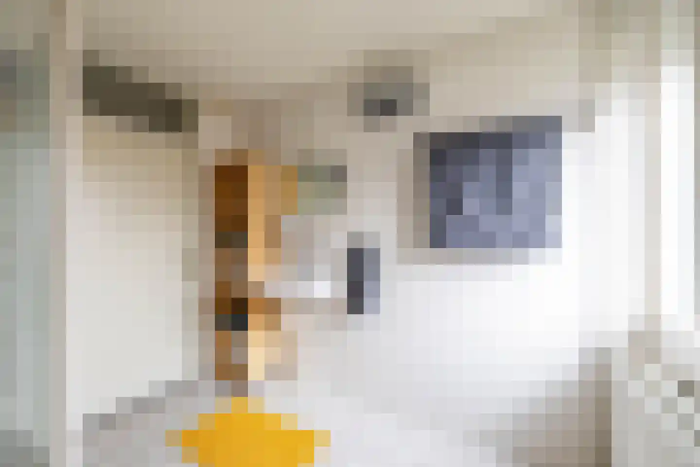 Fuutmesschen 14 Assen thumbnail 44