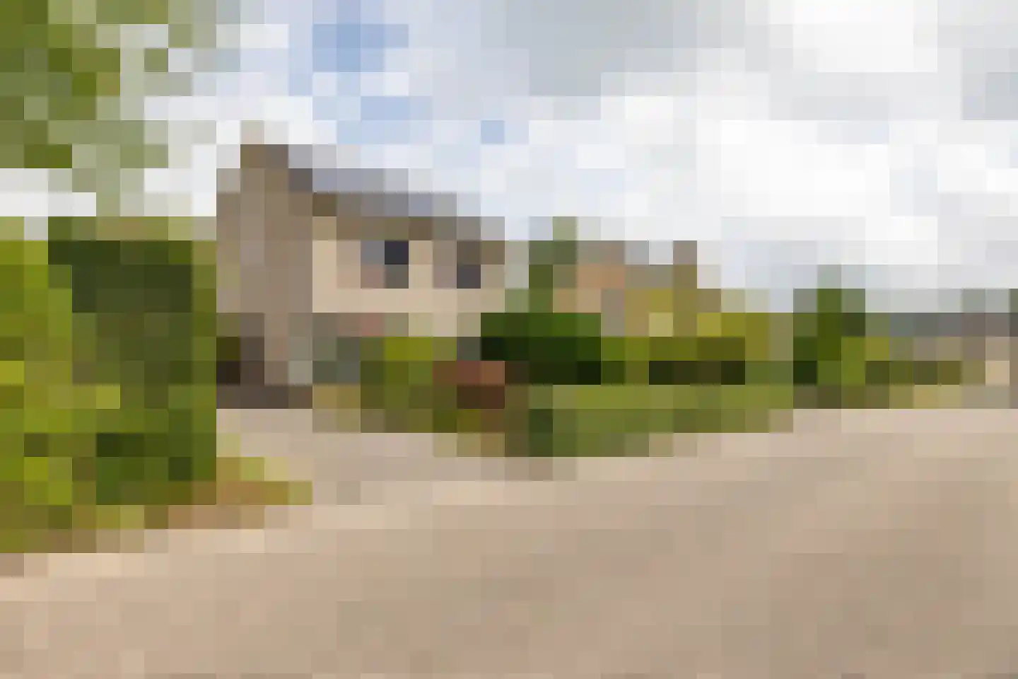 Fuutmesschen 14 Assen thumbnail 5