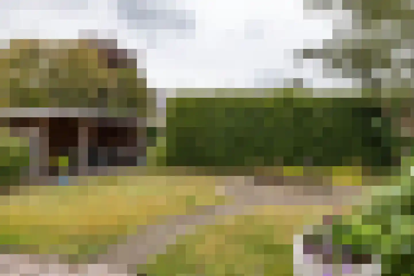 Fuutmesschen 14 Assen thumbnail 53