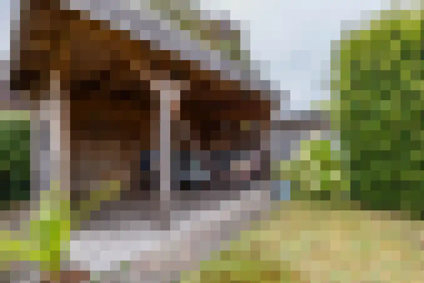 Fuutmesschen 14 Assen thumbnail 54