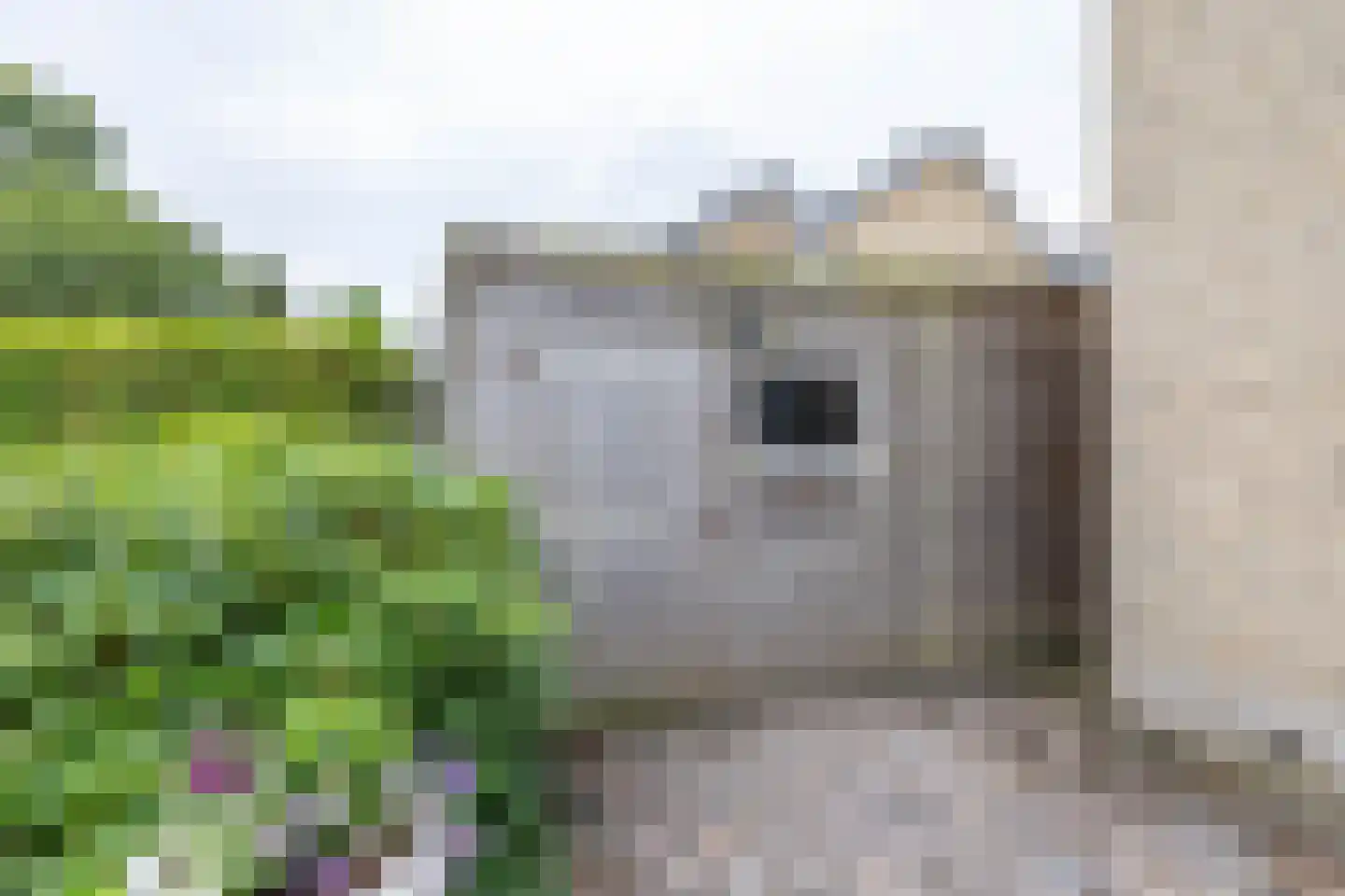 Fuutmesschen 14 Assen thumbnail 59